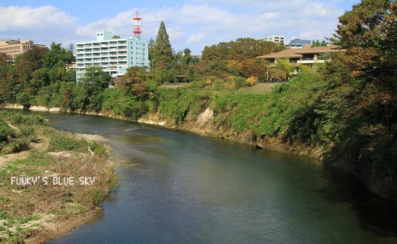 広瀬川ながるるほとり～♪_c0145250_1227364.jpg