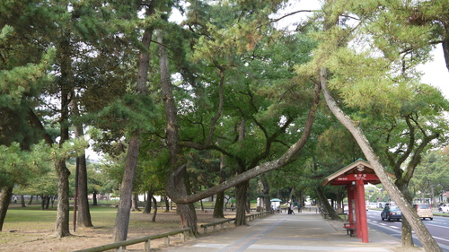 e0171455_11263749.jpg