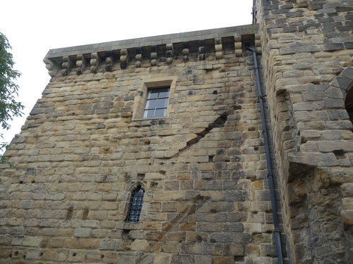 f0056261_20111279.jpg