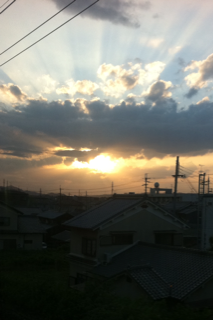【西大寺店 スタイリスト近藤】私の癒し_c0080367_15381285.png