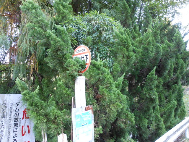 c0001670_22625.jpg