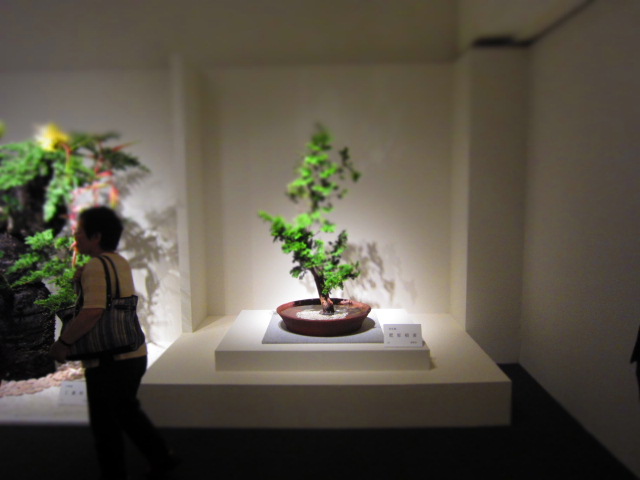 a0123978_20102749.jpg