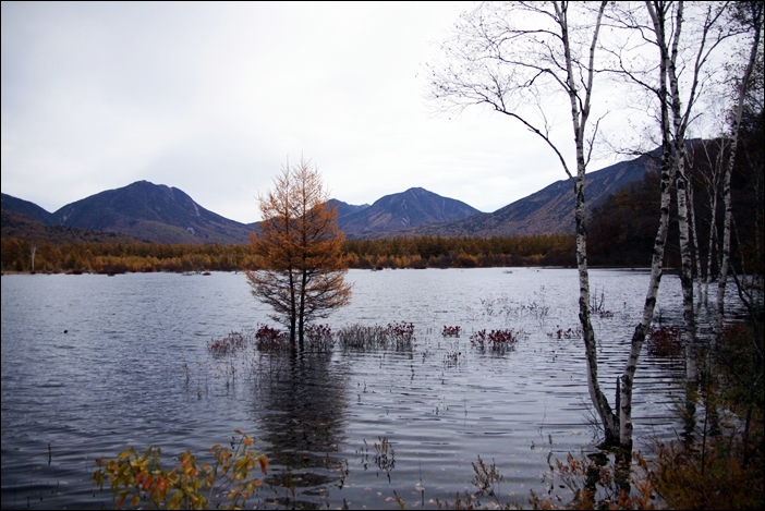 e0027083_191775.jpg