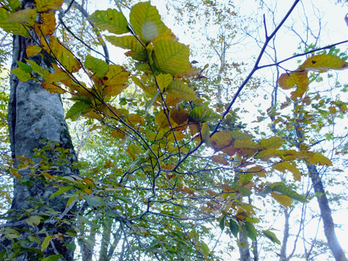 b0173886_11584876.jpg