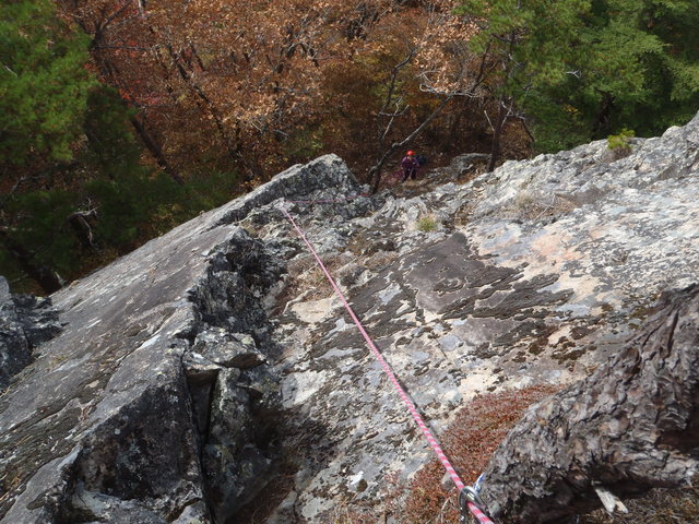 d0138986_1739579.jpg