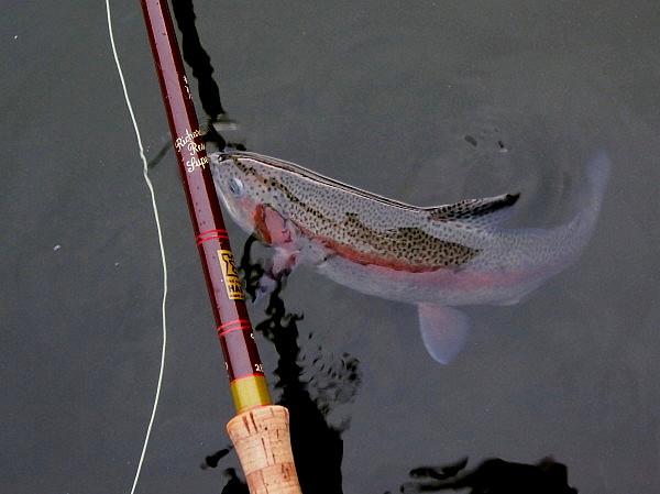 古いGLASS ROD Ⅱ/ Hardy Glass Rod : Spey Bum 古いGLASS ROD Ⅱ/ Hardy Glass Rod : Spey Bum