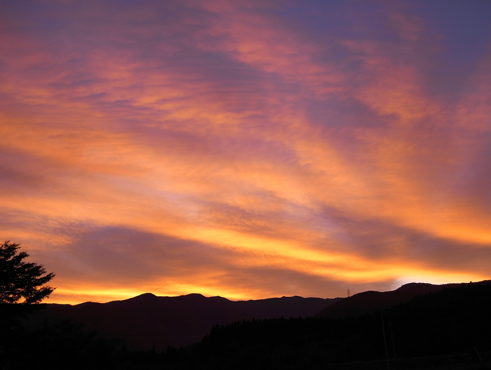 ♪　夕焼け～小焼けで日が暮れて～・・・_f0137288_17383692.jpg