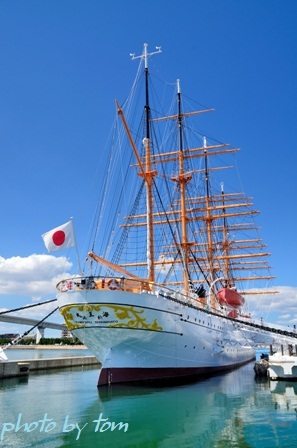 富山散歩～県西部119～「海王丸」と「ふじ丸」の珍しい2ショット_b0155692_22143230.jpg