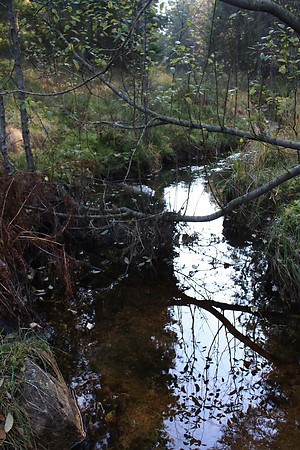 d0182292_4555110.jpg