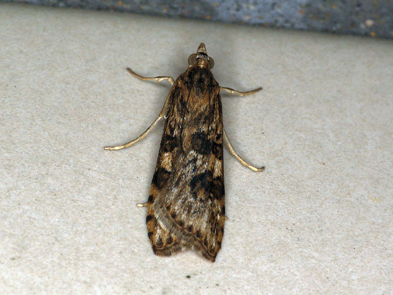 f0204094_22253520.jpg