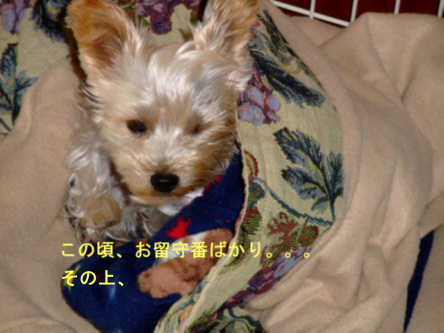 b0203596_12271232.jpg
