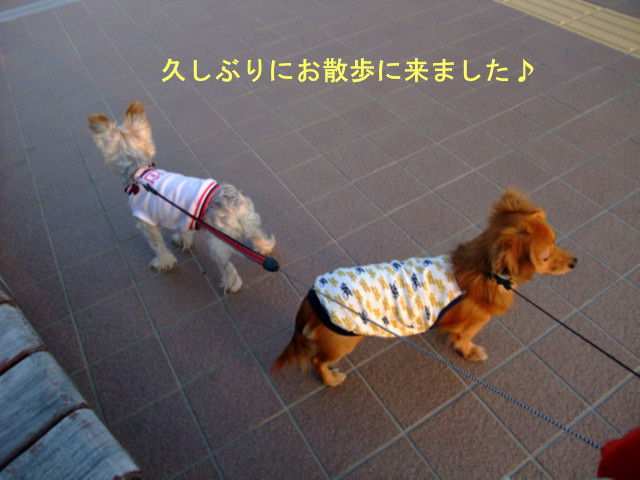 b0203596_12442250.jpg