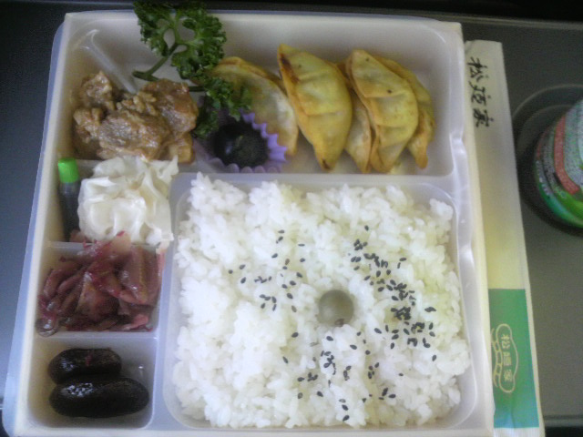 宇都宮の小中一貫教育と地域学校園<視察報告1>_d0129296_22595348.jpg
