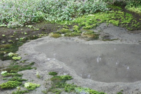 b0207497_2215498.jpg