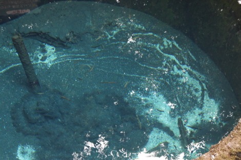 b0207497_221684.jpg