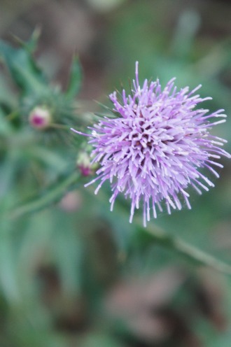 b0207497_22175390.jpg