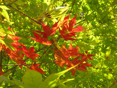 a0170699_22591617.jpg