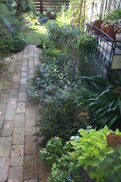 a0123003_2152912.jpg