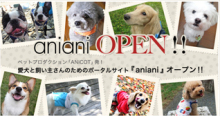 aniani （アニアニ）　オープン！ &   J-HANBS サイト etc_a0032004_23252419.jpg