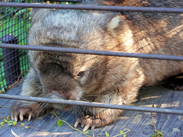 ヒロキのめざめ。_a0164204_22411486.jpg