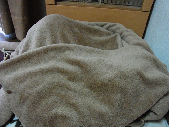 c0205806_8473379.jpg