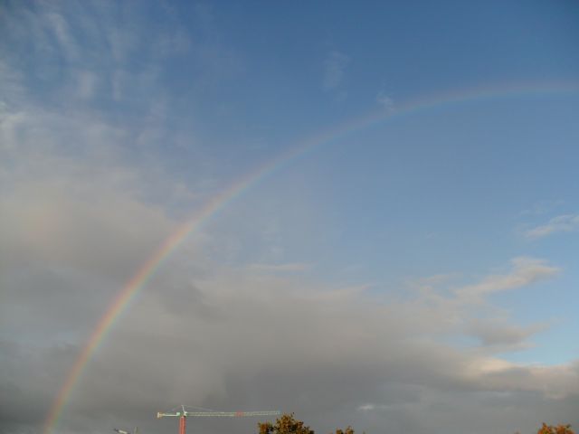 e0039206_0435286.jpg