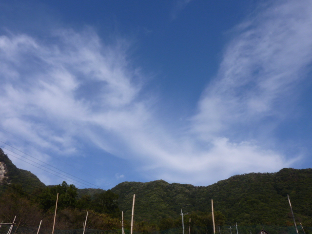 a0080610_0245564.jpg