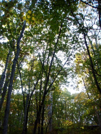 f0043911_17225510.jpg