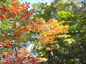 f0043911_17275059.jpg