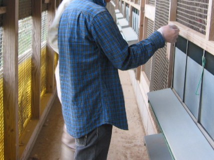 「環境細菌検査 Oct-2011」_a0120513_1910223.jpg