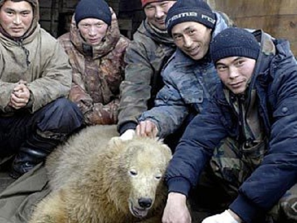 ロシア極北で漁民に保護された1歳の野生孤児が中部ロシアのペンザ動物園での飼育が決定_a0151913_20364269.jpg