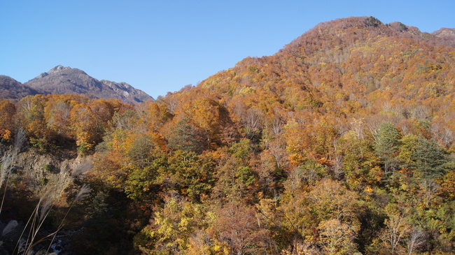 信州の紅葉　小谷村鎌池の紅葉_f0233414_2137988.jpg