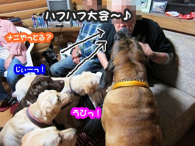 白馬の続き~3 最終章_e0192217_914382.jpg