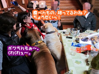 白馬の続き~3 最終章_e0192217_9174547.jpg