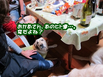白馬の続き~3 最終章_e0192217_973194.jpg