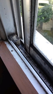 e0091220_17452760.jpg