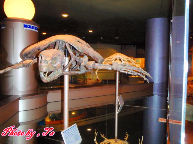 f0147821_14491185.jpg