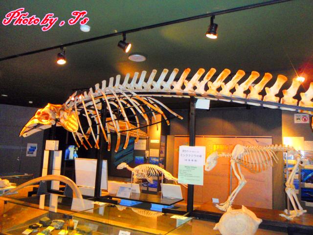 f0147821_1449320.jpg