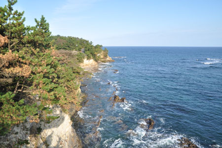d0102523_2321488.jpg