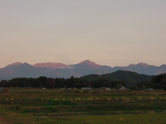 e0242423_17264854.jpg