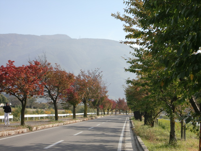 e0234924_9302678.jpg