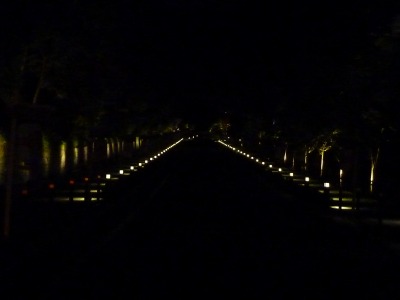 夜の打合せ。_b0209132_15291019.jpg