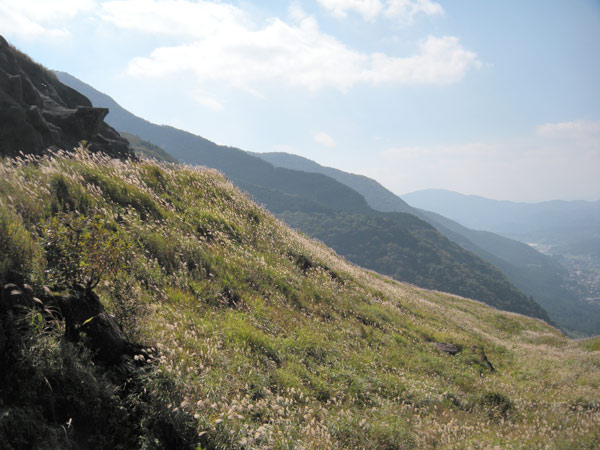 c0047341_8244683.jpg