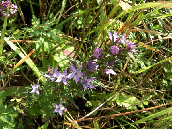 c0047341_8292046.jpg