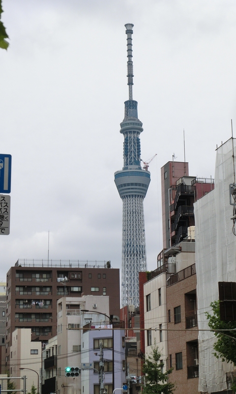 ”東京のシンボルタワー”_d0153941_12244875.jpg