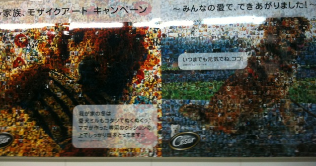 ワン♪犬好きな方限定ですが_f0140145_1334094.png