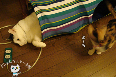 ほぼ週休二日制_e0031853_2356159.jpg