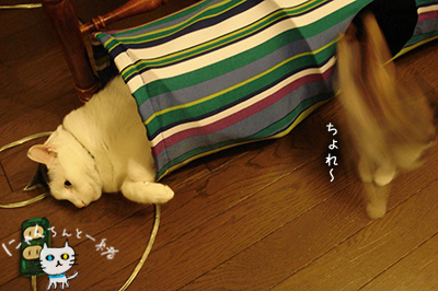 ほぼ週休二日制_e0031853_23561717.jpg