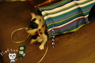 ほぼ週休二日制_e0031853_23563675.jpg