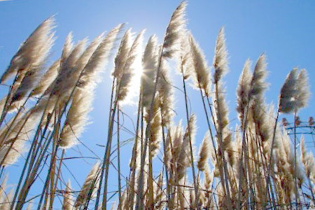 c0097558_16162981.jpg